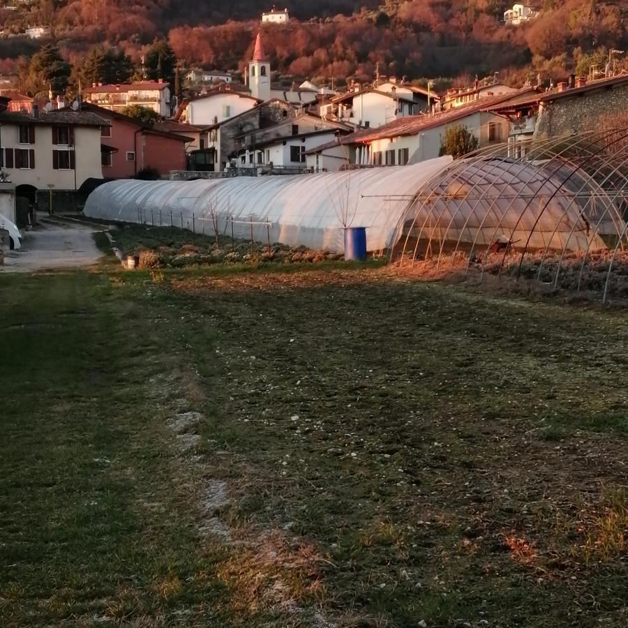 Agriturismo Corte Fontana App. Barbara Salò Екстериор снимка